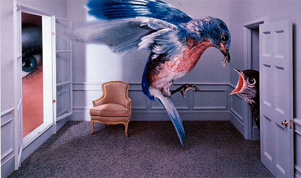 A bluebird in a white down-sized room feeding it's child though the door entrance. The room is furnished with one cushioned chair and a human eye looks through the open window pane. 