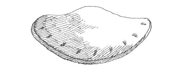 Black and white ink hatch line illustration of a turnover wedge