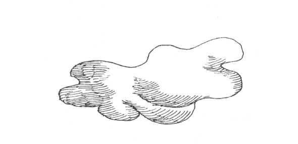 Black and white ink hatch line illustration of a wavy amorphous mixture of shrimp and vegetables.