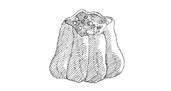 Black and white ink hatch line illustration of a wavy wrapper of dough around a ground filling