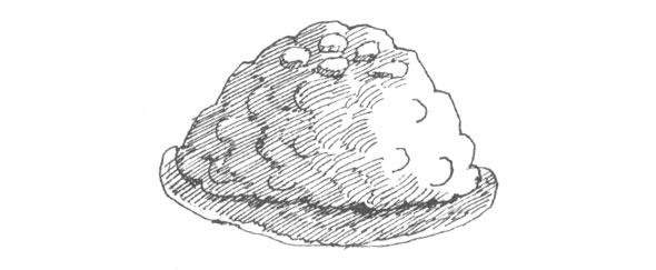 Black and white ink hatch line illustration of a ball of closely packed chopped pork and Chinese vegetables with shredded lobster