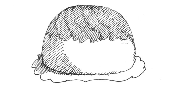 Black and white ink hatch line illustration of a mound covered in sauce