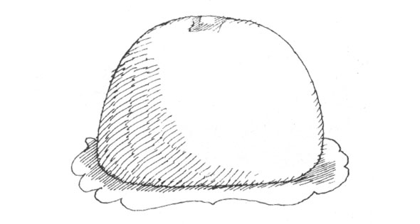 Black and white ink hatch line illustration of a simple mound of dough