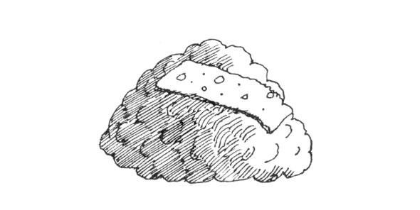 Black and white ink hatch line illustration of a ball of closely packed chopped pork and Chinese vegetables with a slice of Chinese sausage