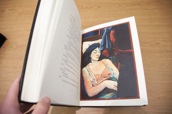 Finished illustration of a woman laying in bed, and a silhouetted woman holding a blue cloth.