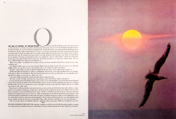 Magazine spread: left page is text, right is color photograph of a bird flying against a sunset/sunrise