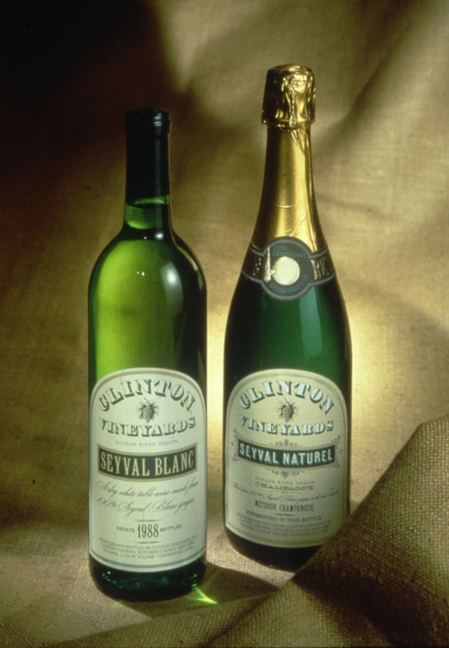 A photo of two green alcohol bottles. The left bottle is shaped like wine bottle and has a simple label for "Clinton Vine Yards" in the middle of the words is a small ink drawing of a grape. The right bottle is shaped like a champagne bottle. It's sealed with gold foil. The label is similar to the on the left only wider. 